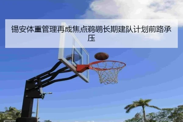 锡安体重管理再成焦点鹈鹕长期建队计划前路承压